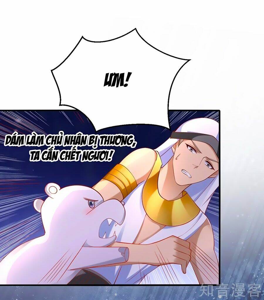Sủng Hậu Của Vương: Chapter 43