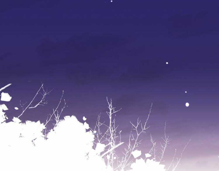 Con Tim Rung Động: Chapter 16