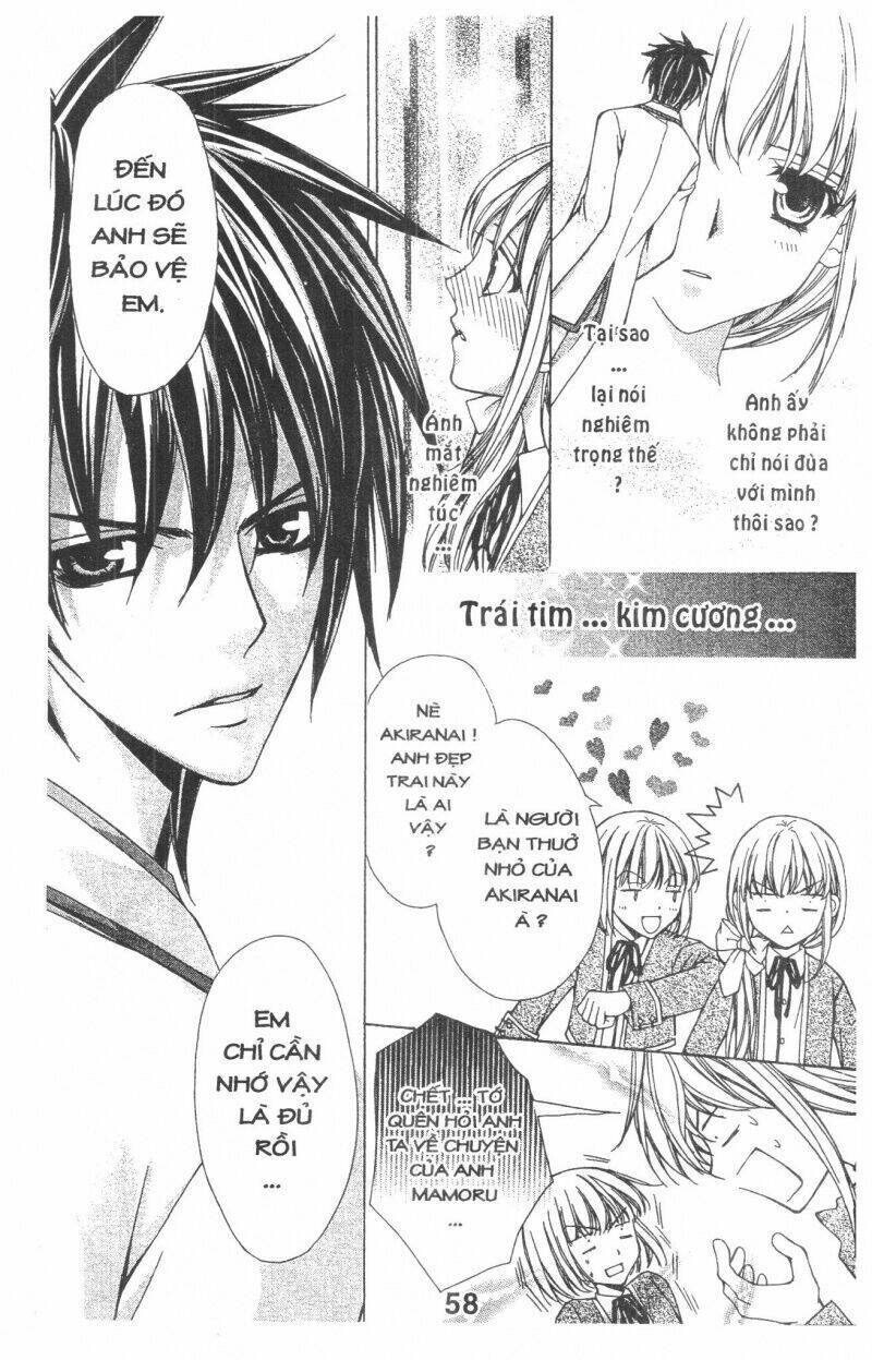 Trái Tim Kim Cương: Chapter 1