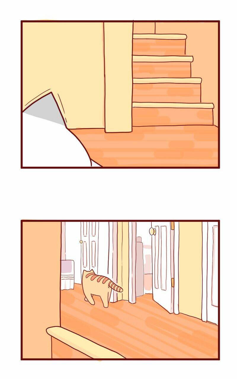 Saphie: Chú mèo một mắt: Chapter 10