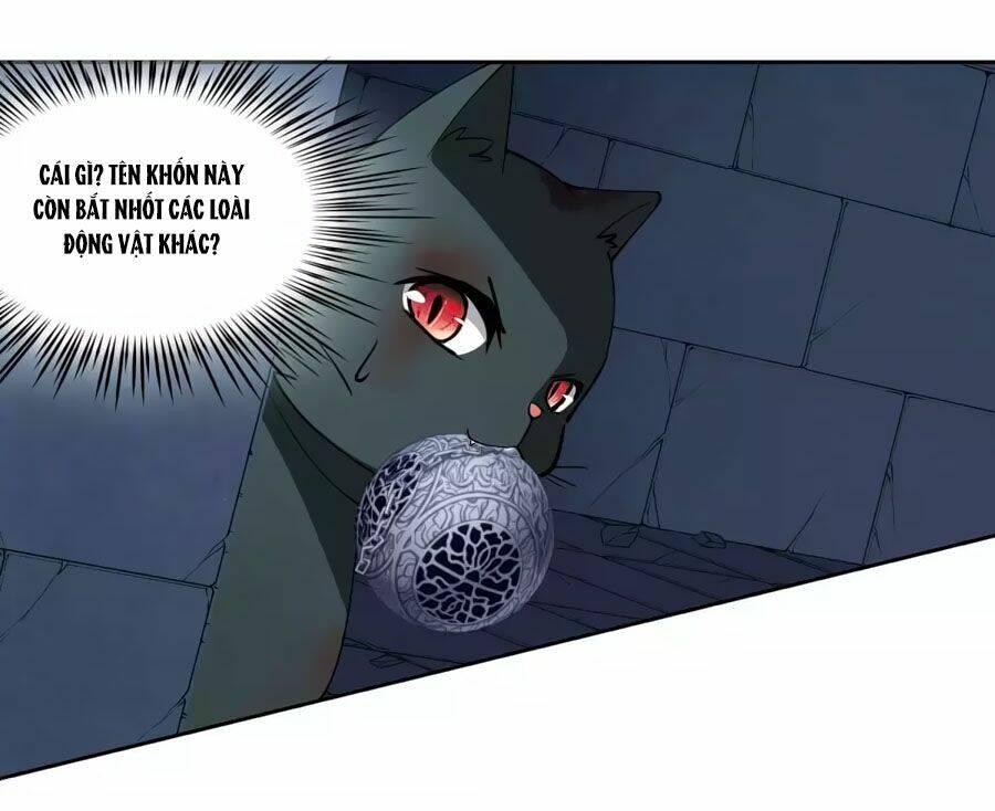 Huyền Vũ Luyến Ca: Vạn Vật Sinh Linh: Chapter 20.2