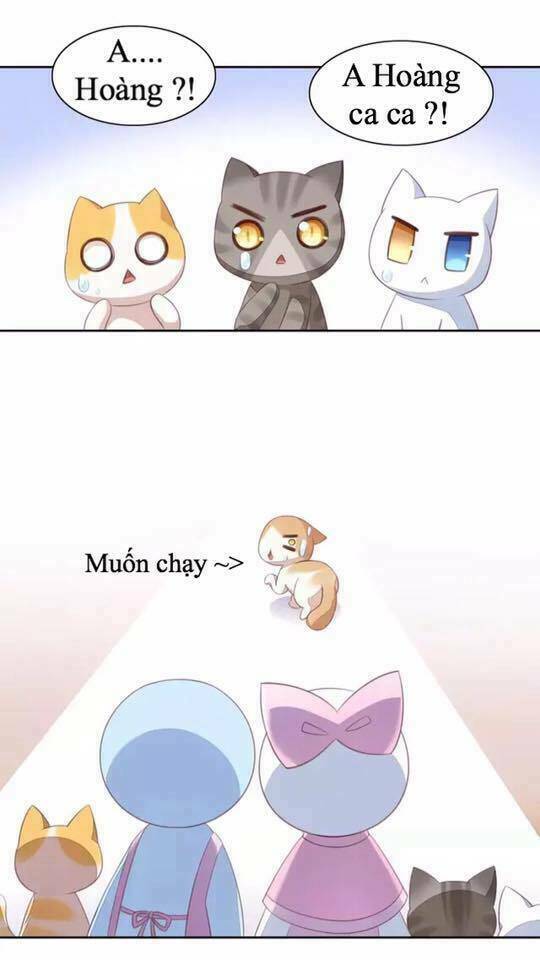 Dưới Móng Vuốt Mèo: Chapter 14