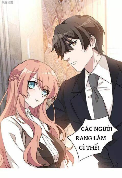 Trọng Sinh Noãn Hôn Khinh Sủng Thê: Chapter 17