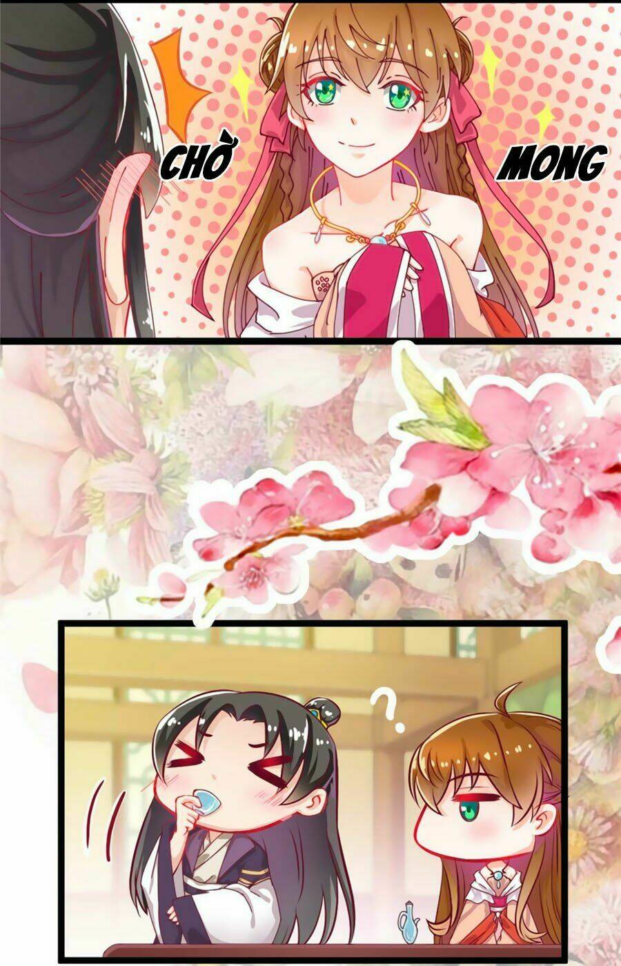 Ngọc Vi Mai: Chapter 5