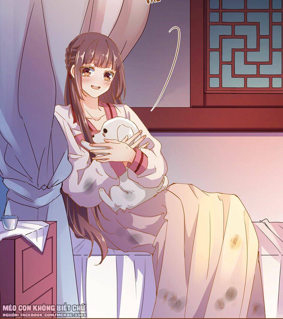 Boss Khủng Bố Chiếm Đoạt Ta: Chapter 6