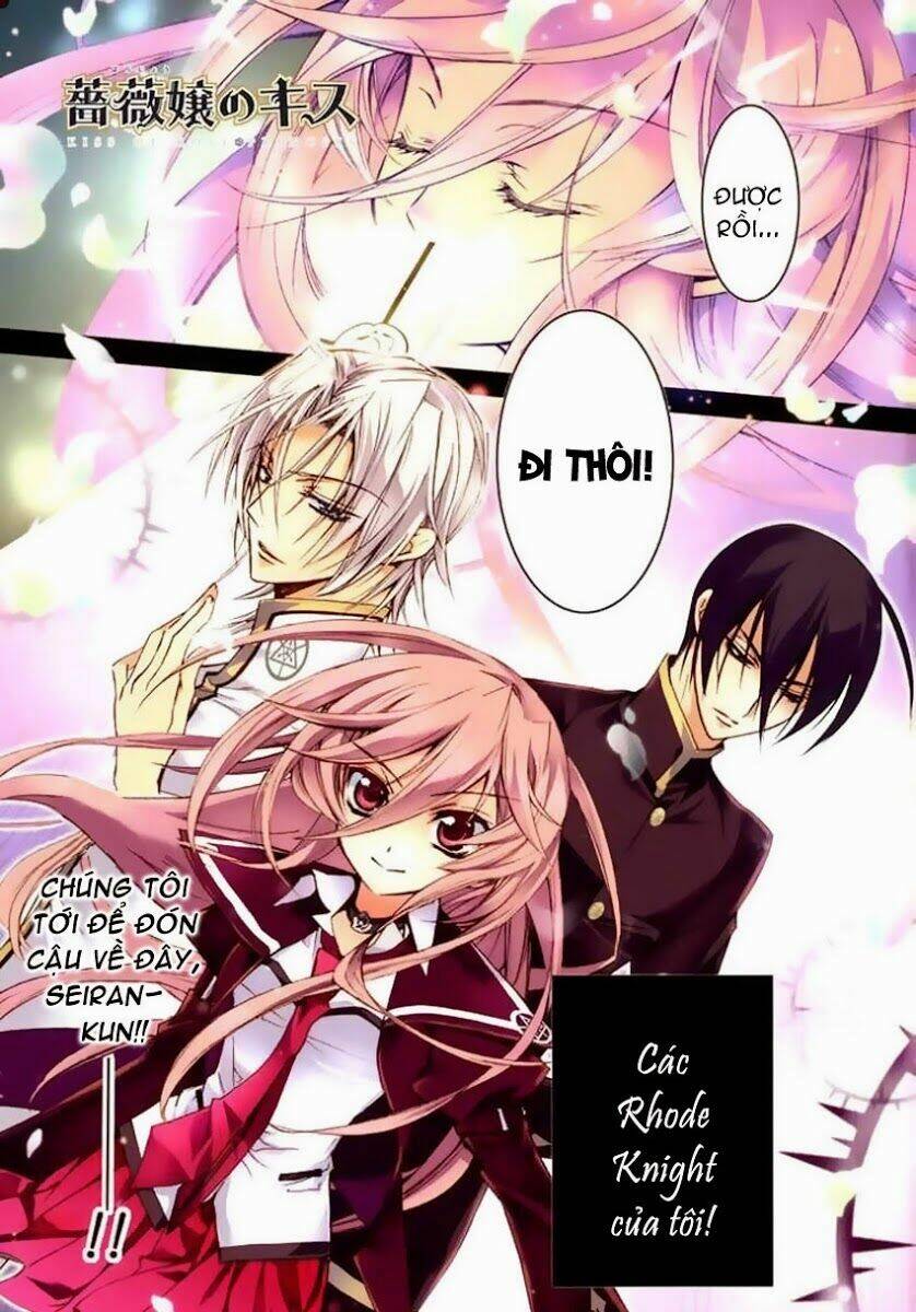 Nụ Hôn Của Công Chúa Tường Vi: Chapter 11