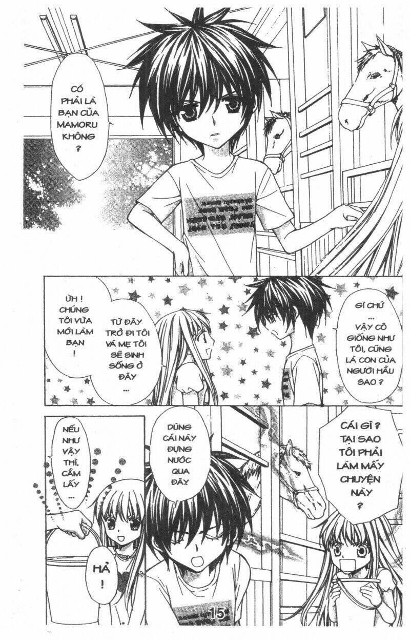 Trái Tim Kim Cương: Chapter 1