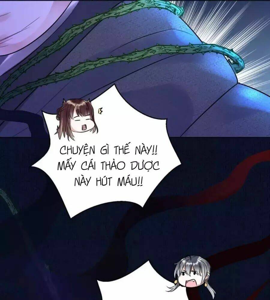 Yêu Long Đại Nhân Của Ta: Chapter 4