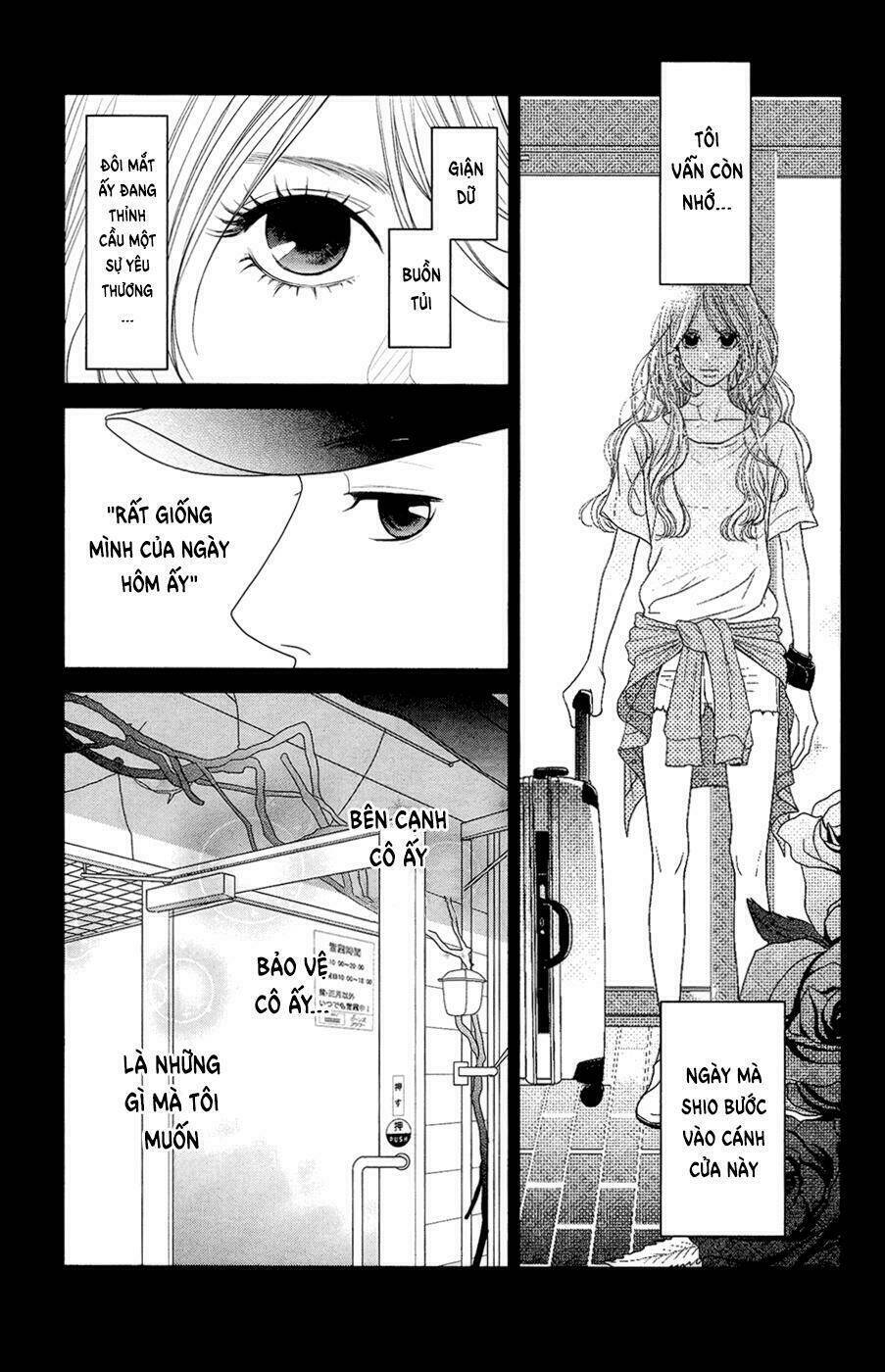 Đóa Hoa Năm Ấy: Chapter 4