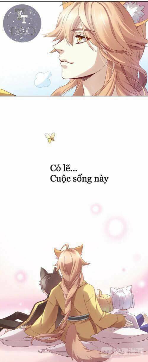 Dưới Móng Vuốt Mèo: Chapter 1