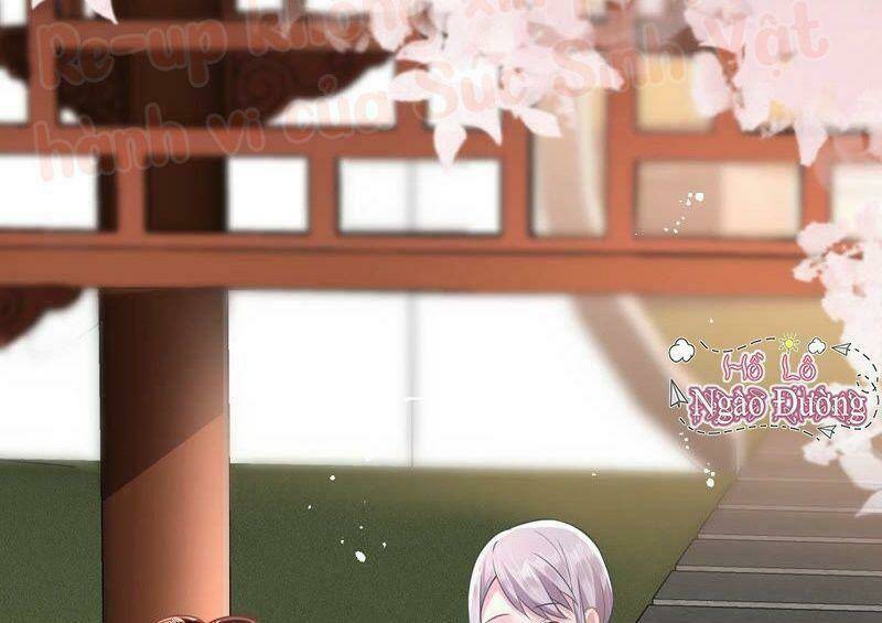 Quận Chúa Vững Vàng, Thiết Lập Nhân Vật Không Thể Vỡ: Chapter 13