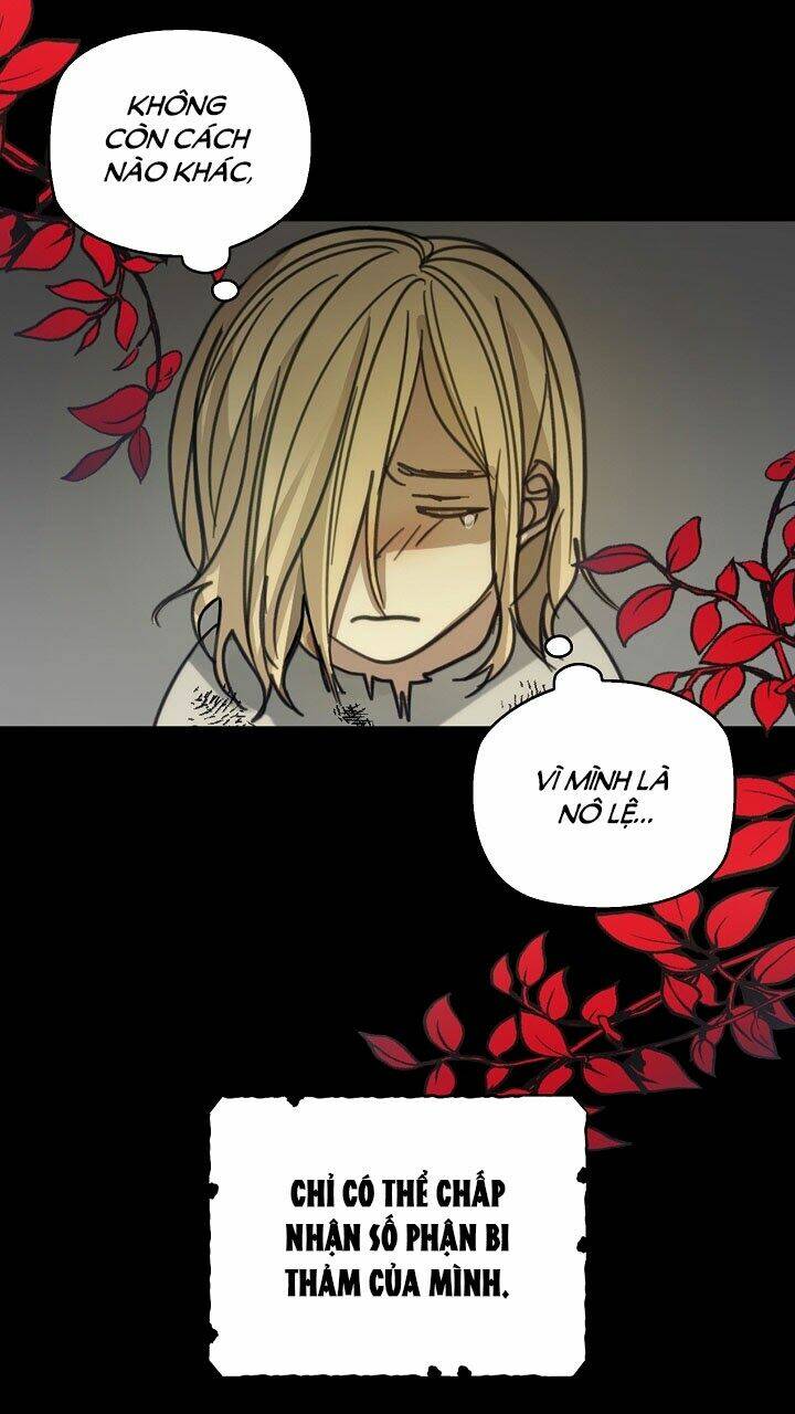 Ba Người Anh Trai Của Tôi Là Bạo Quân: Chapter 2