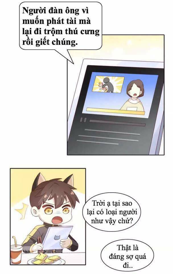 Dưới Móng Vuốt Mèo: Chapter 14