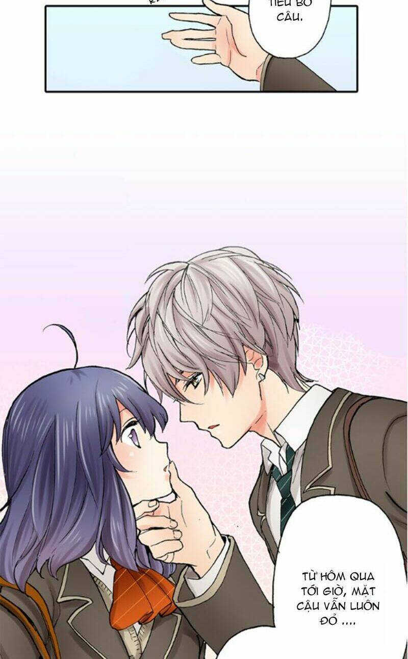 Mệnh Lệnh Tuyệt Đối Của Bá Đạo Vương Tử: Chapter 11