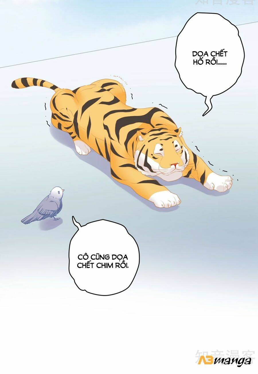 Hẹn Hò Siêu Tốc: Chapter 1