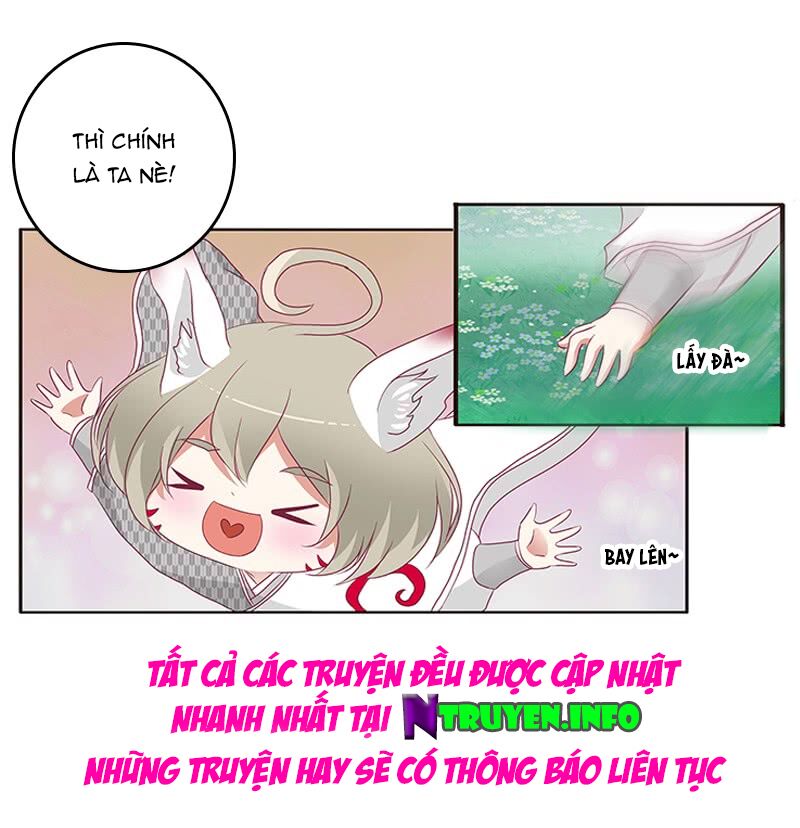 Thông Linh Phi: Chapter 315