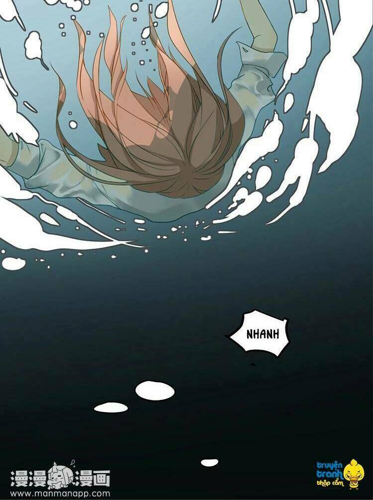Cứu Mạng! Loài Mèo Thống Trị Thế Giới Rồi!: Chapter 2