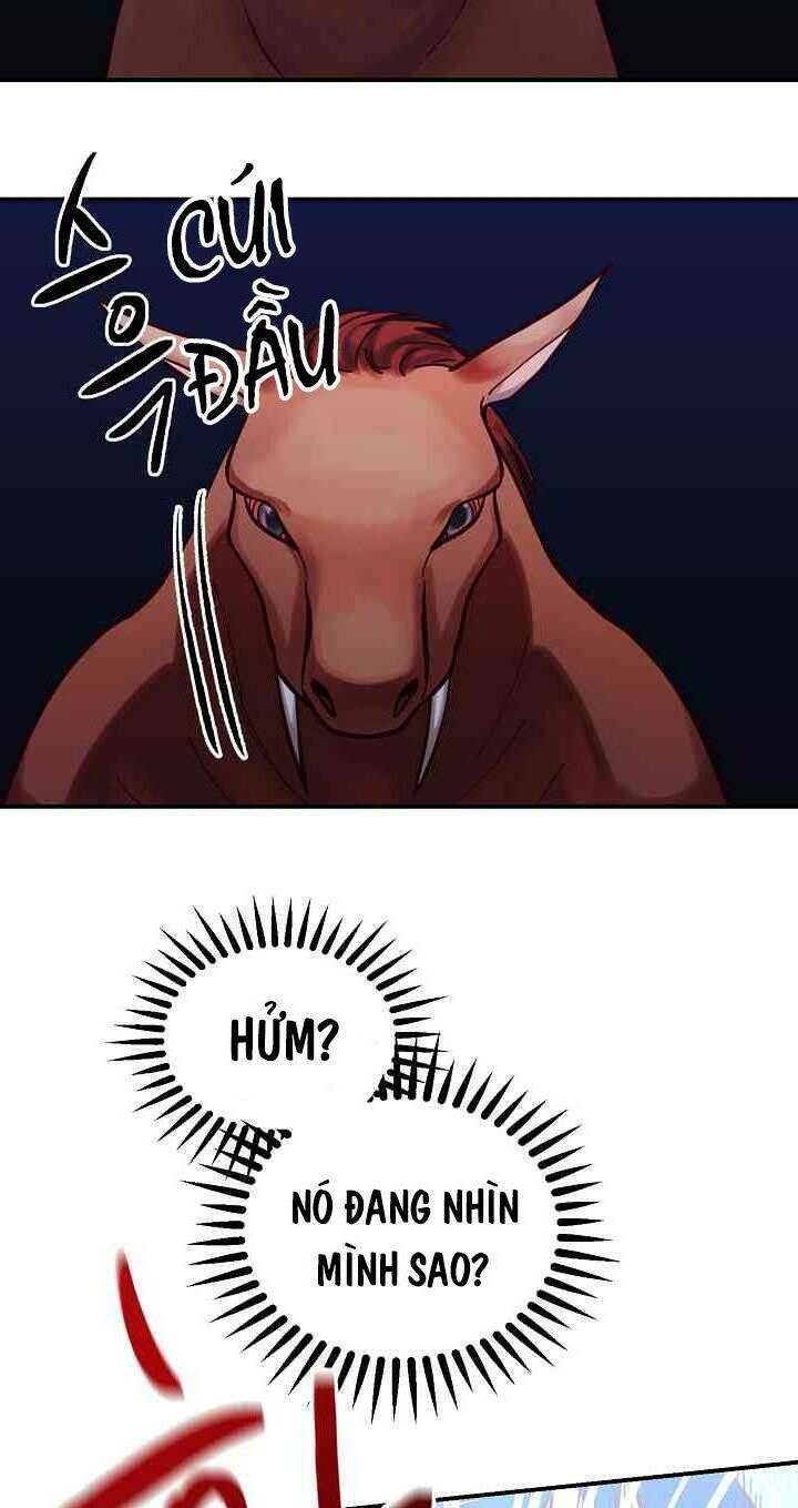 Amina - Nữ Thần Đèn: Chapter 28