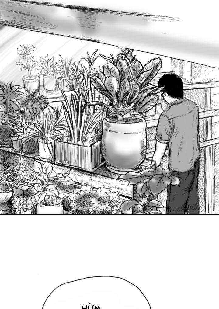 Hạt Giống Mỹ Nhân: Chapter 1