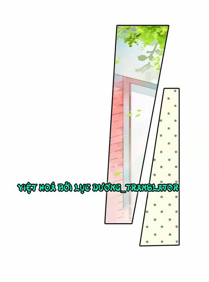 Tình Yêu Là Màu Hoa Anh Thảo: Chapter 27.1