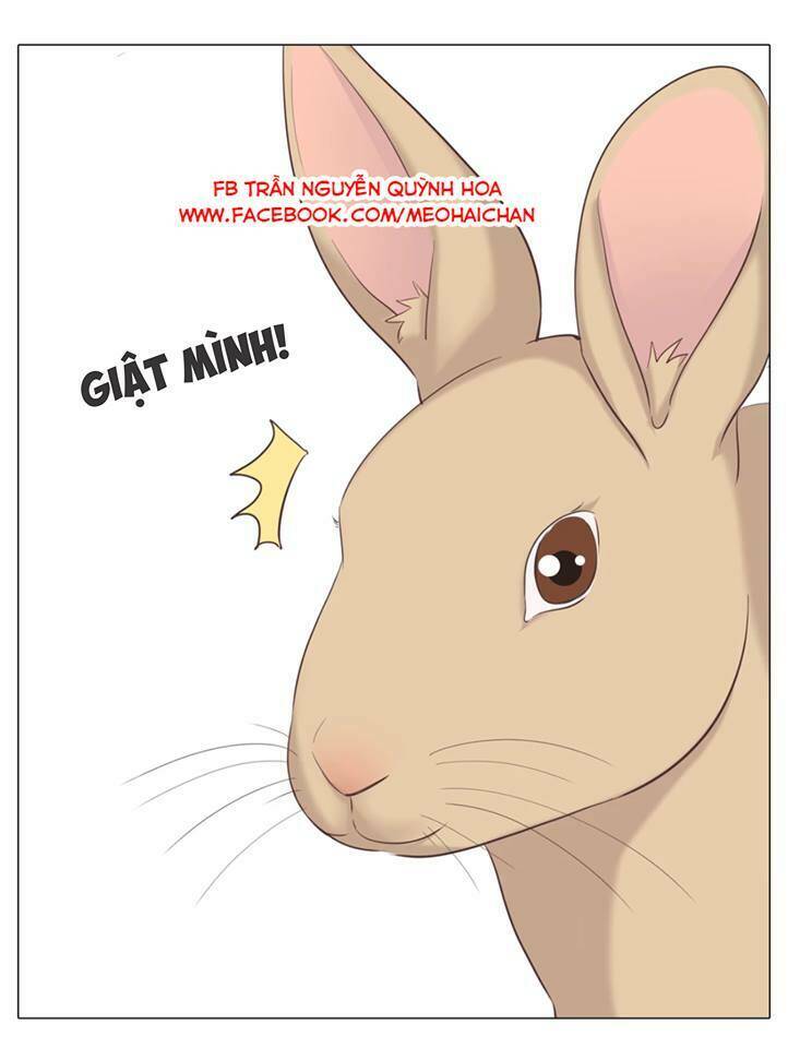 Xin Chào! Dân Nữ: Chapter 29