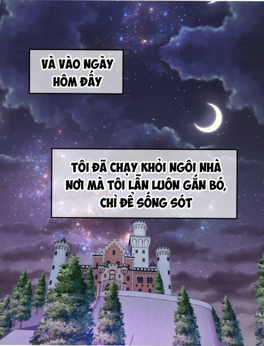 Yêu Cầu Kết Hôn Của Priscilla: Chapter 1
