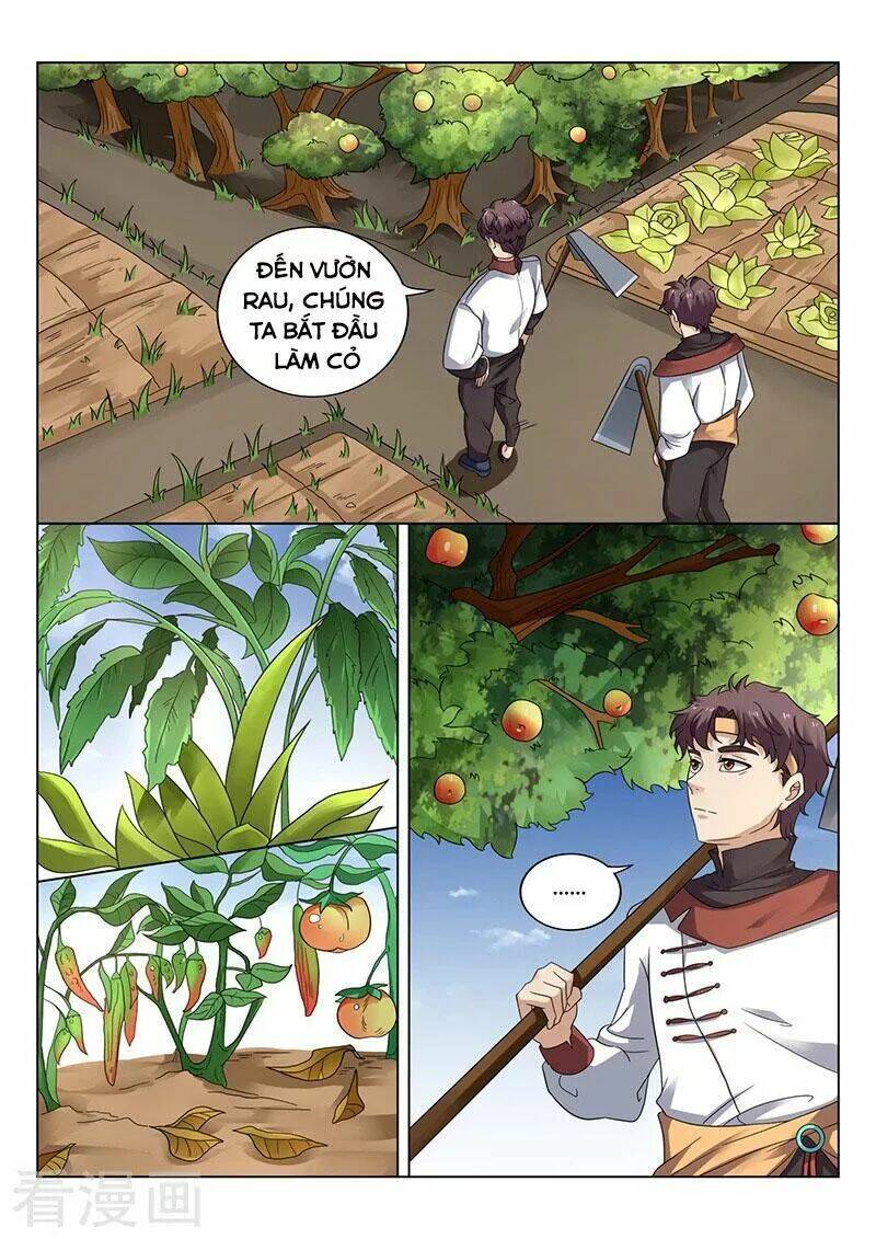 Siêu Cấp Thần Y Hệ Thống: Chapter 35