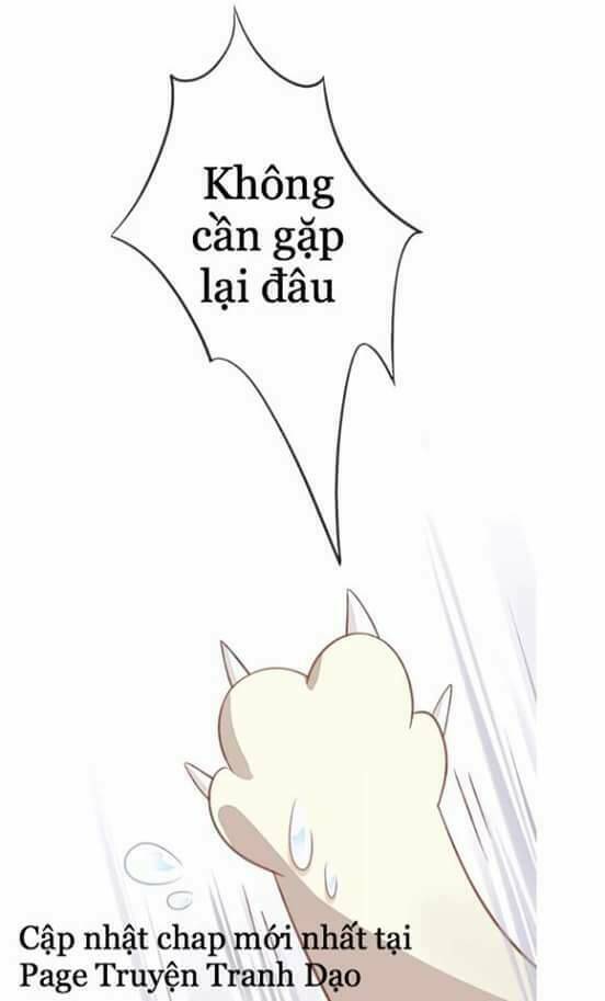 Dưới Móng Vuốt Mèo: Chapter 5