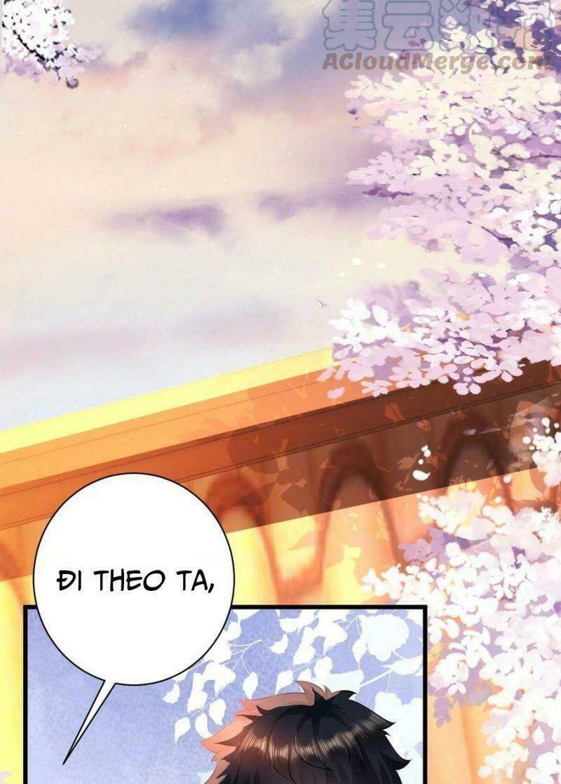 Quận Chúa Vững Vàng, Thiết Lập Nhân Vật Không Thể Vỡ: Chapter 78