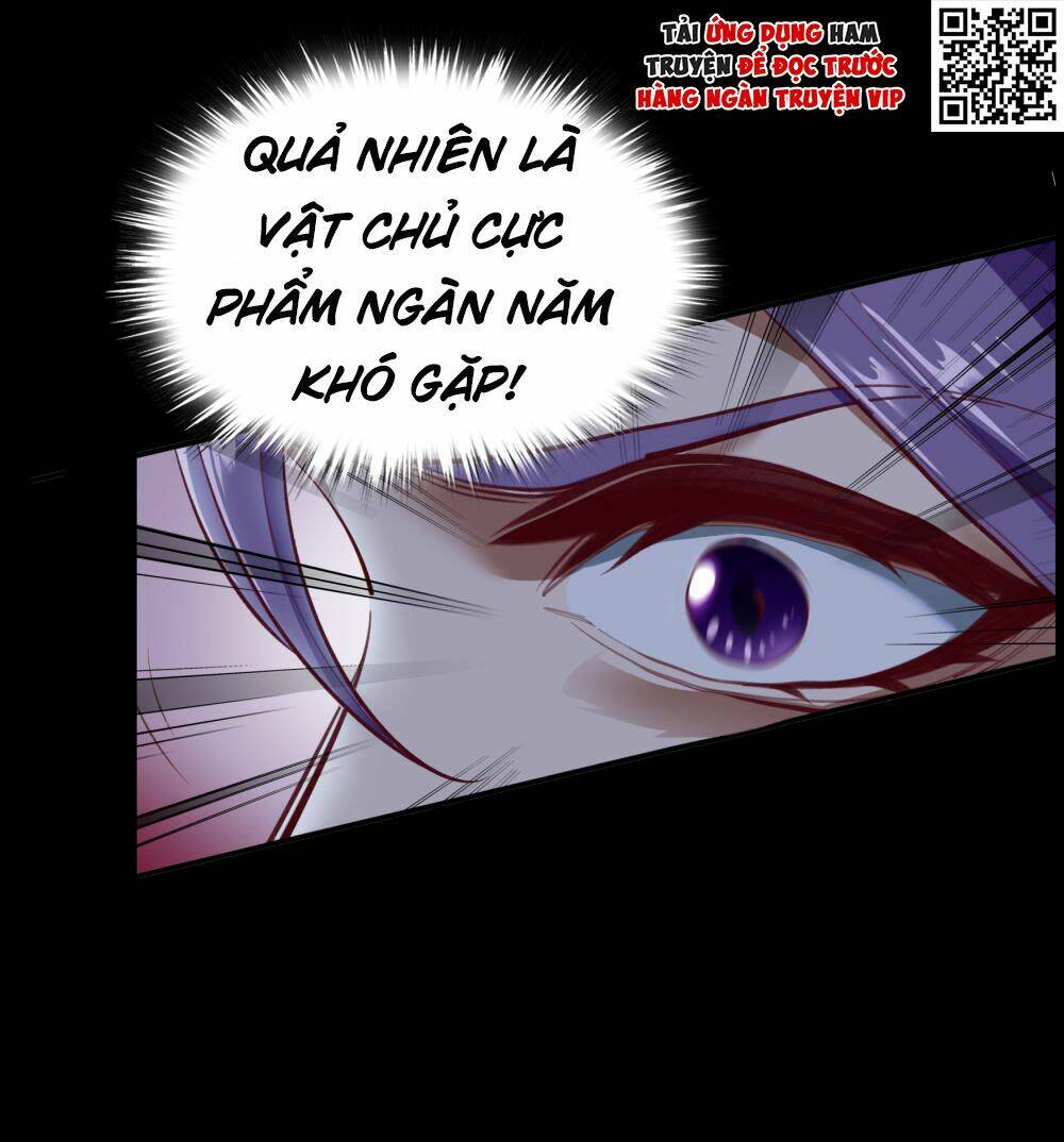 Thanh Đế Truyện: Chapter 65