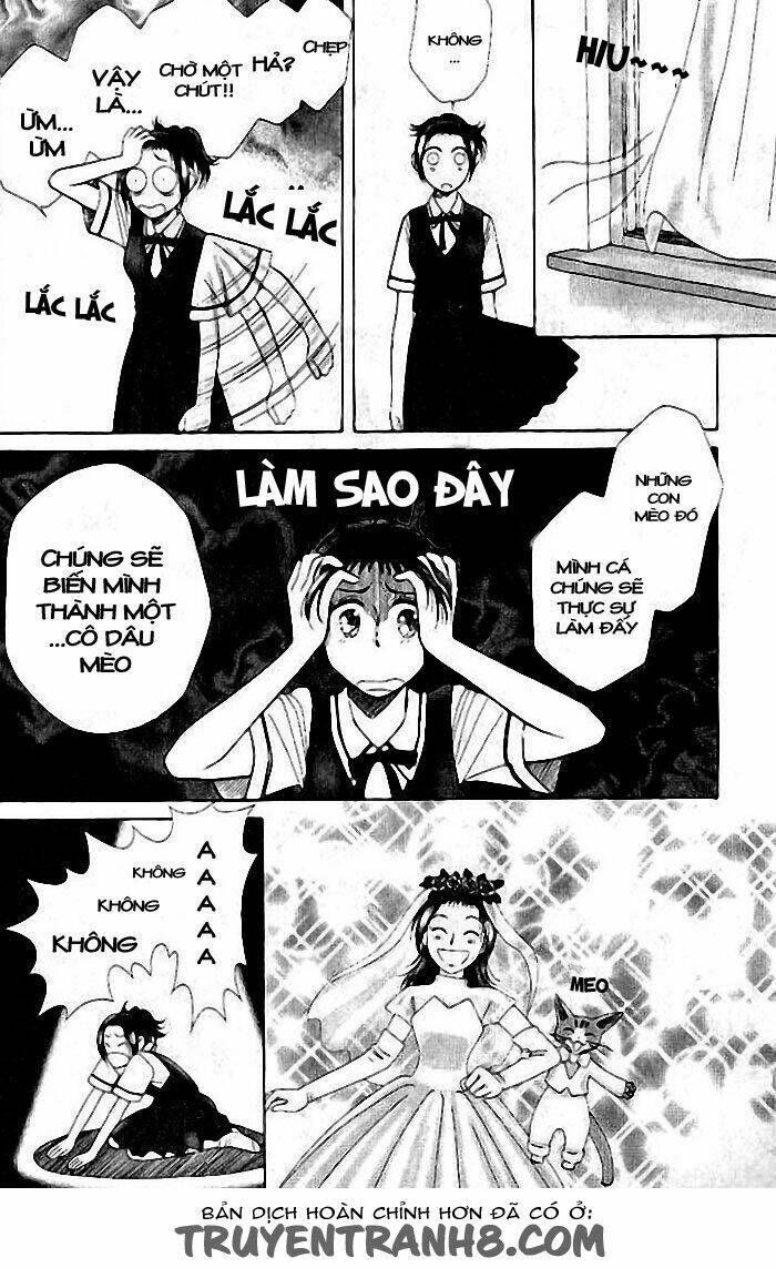 Lời Thì Thầm Từ Trái Tim: Chapter 7