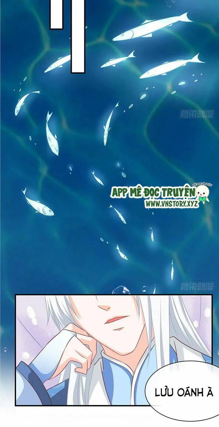 Cẩm Lý Thiếu Nữ Của Tôi: Chapter 61