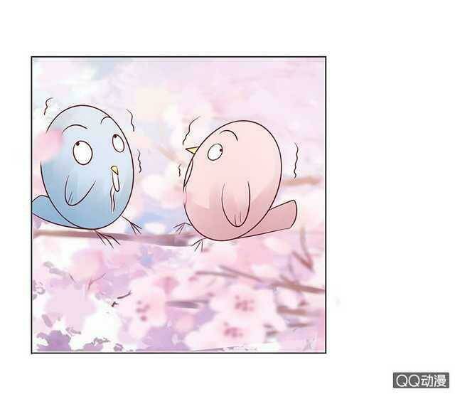 Băng Sơn Học Trưởng Không Được Chọc: Chapter 40.1