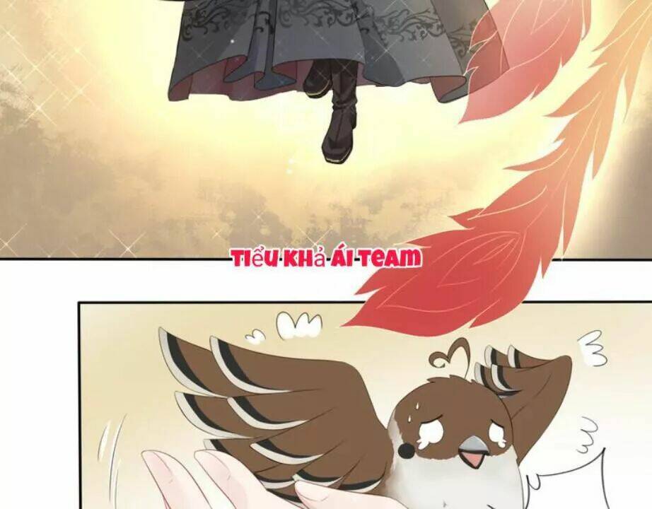 Tước Kiều Tiên: Chapter 2.2