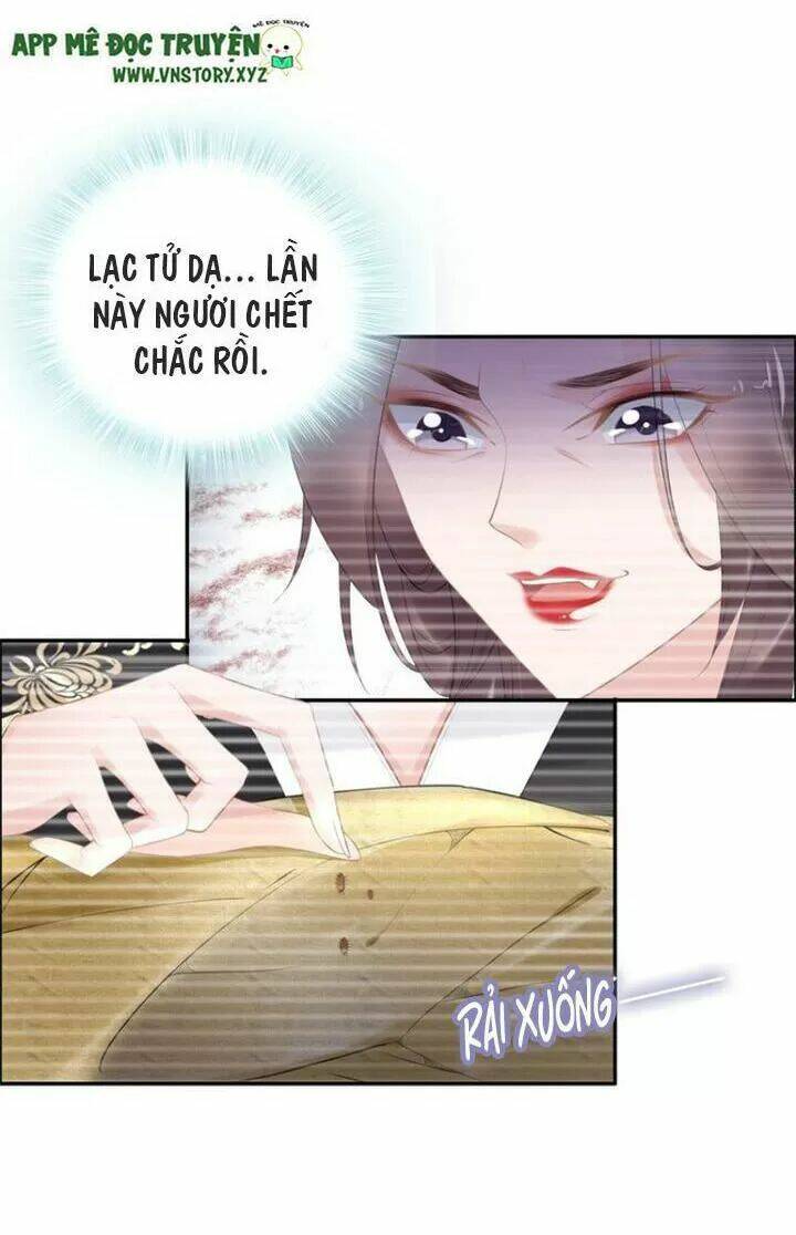 Nhất Sinh Nhất Thế Tiếu Thương Khung: Chapter 72