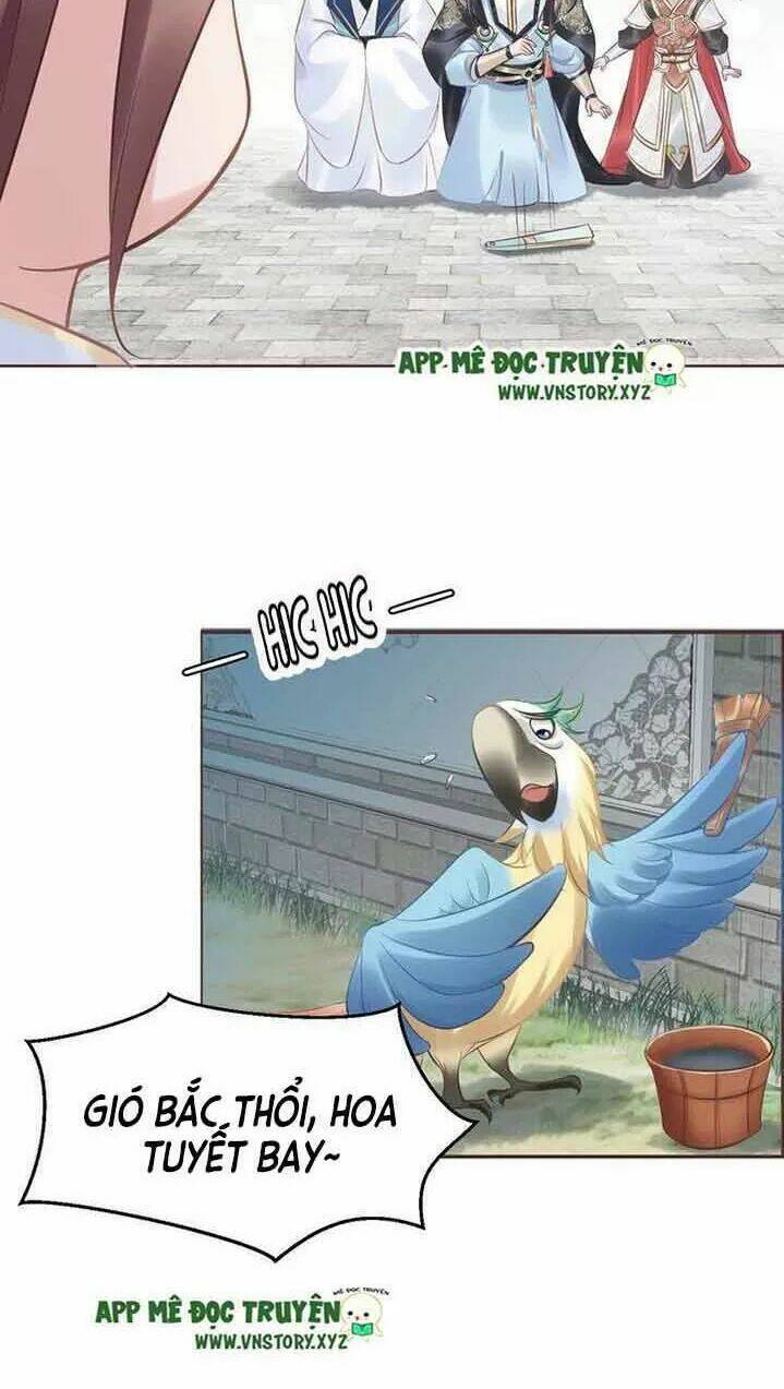 Nhất Sinh Nhất Thế Tiếu Thương Khung: Chapter 20