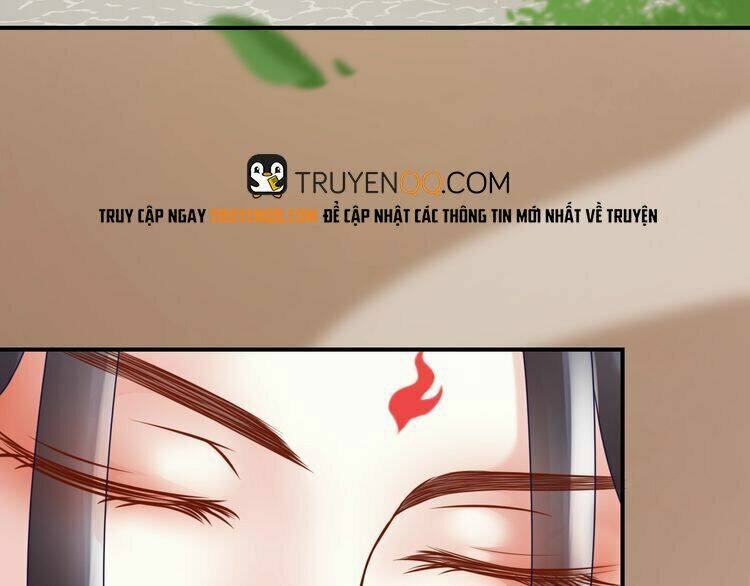 Báo Cáo Vương Gia, Vương Phi Là Một Con Mèo: Chapter 4