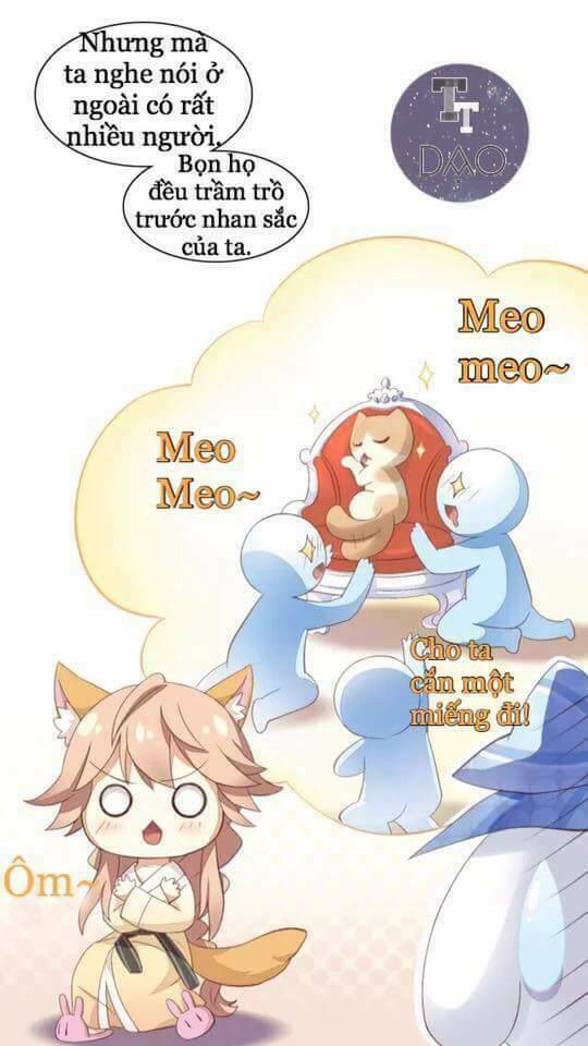 Dưới Móng Vuốt Mèo: Chapter 7