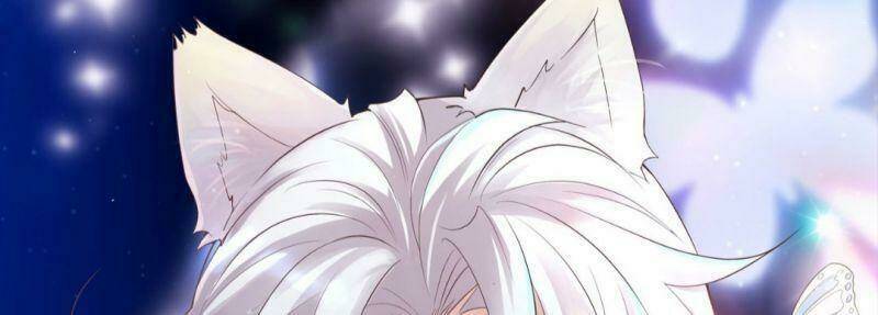 Ảnh Đế Yêu Hồ: Chapter 1