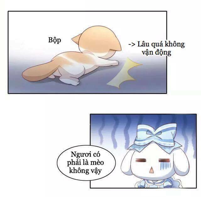 Dưới Móng Vuốt Mèo: Chapter 15
