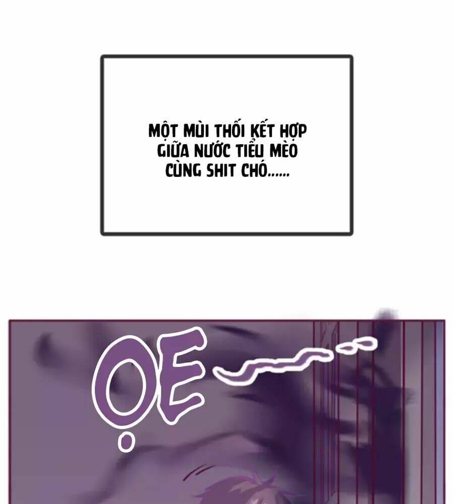 Đừng Nghịch, Ta Chỉ Muốn Yên Tĩnh: Chapter 62