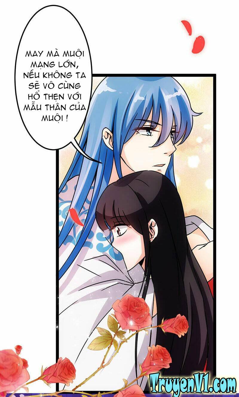 Vương Gia! Ngươi Thật Bỉ Ổi: Chapter 13