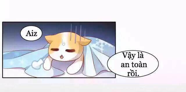 Dưới Móng Vuốt Mèo: Chapter 11