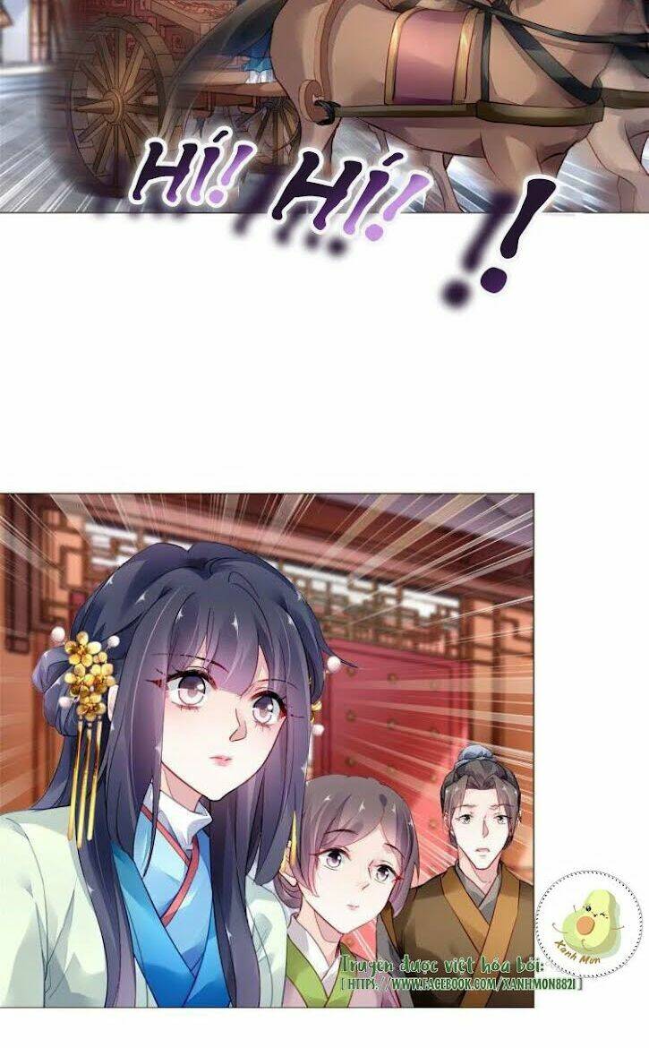 Vấn Đan Chu: Chapter 17