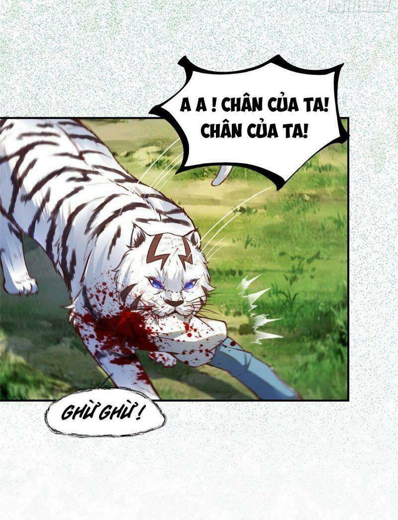 Nghịch Thiên Thần Phi Chí Thượng: Chapter 4