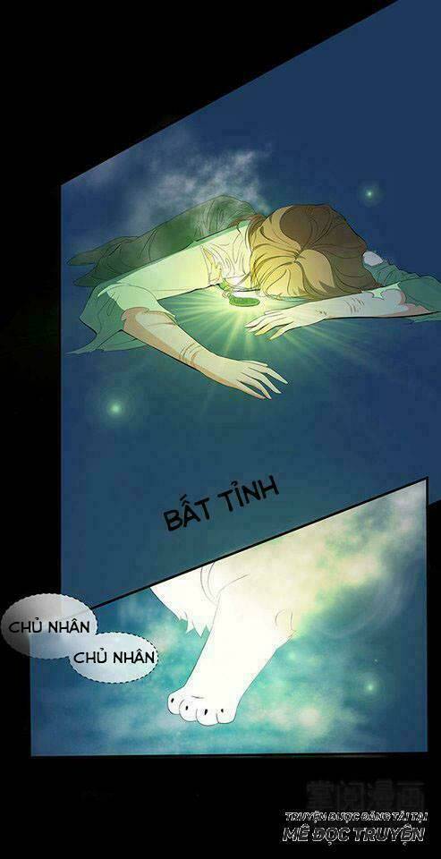 Phế Vật Nghịch Tập Triệu Hoán Sư: Chapter 2