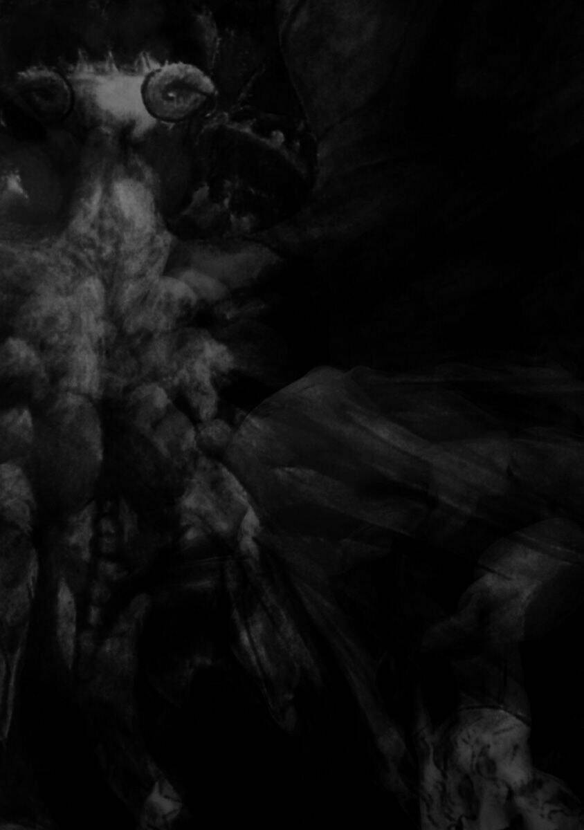 The Devil Of The Gods: Chapter 7