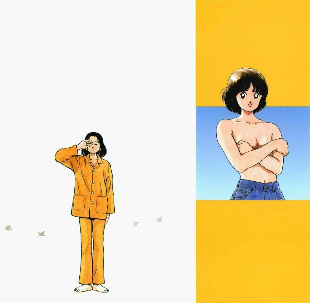 H2: Chapter 228