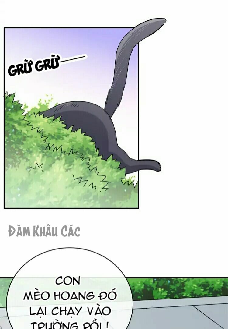 Hãy Call trước khi bốc cháy: Chapter 13