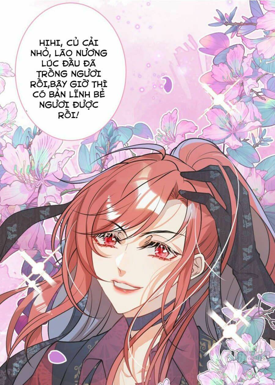 Xuyên Không Đến Thế Giới Trở Thành Đóa Hoa Của Anh: Chapter 3